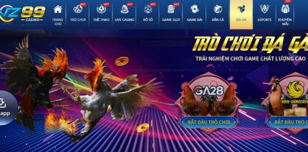 Chơi game đá gà online vz99 như thế nào